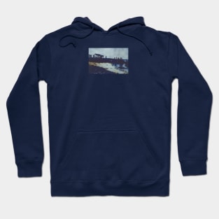 We ate all the Fish, Now What? Hoodie